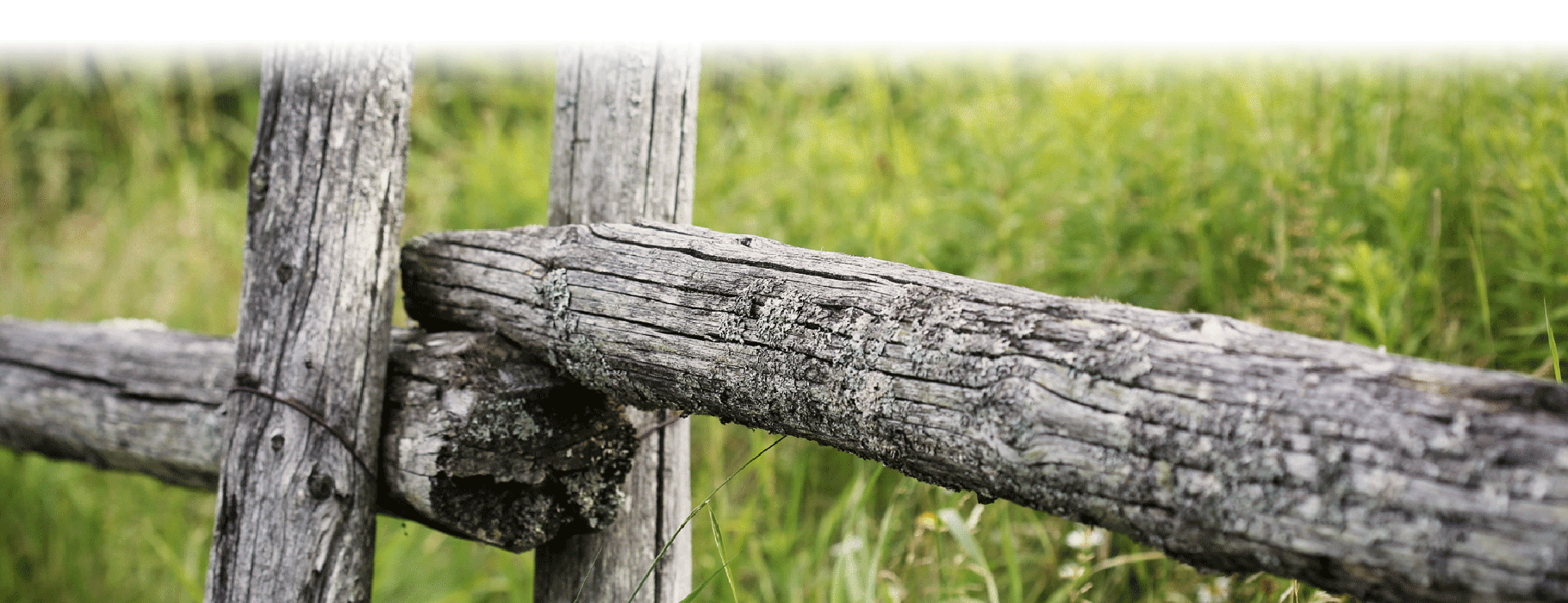 CCWG Livestock Supplies & Equestrian Centre CCWG Livestock Supplies