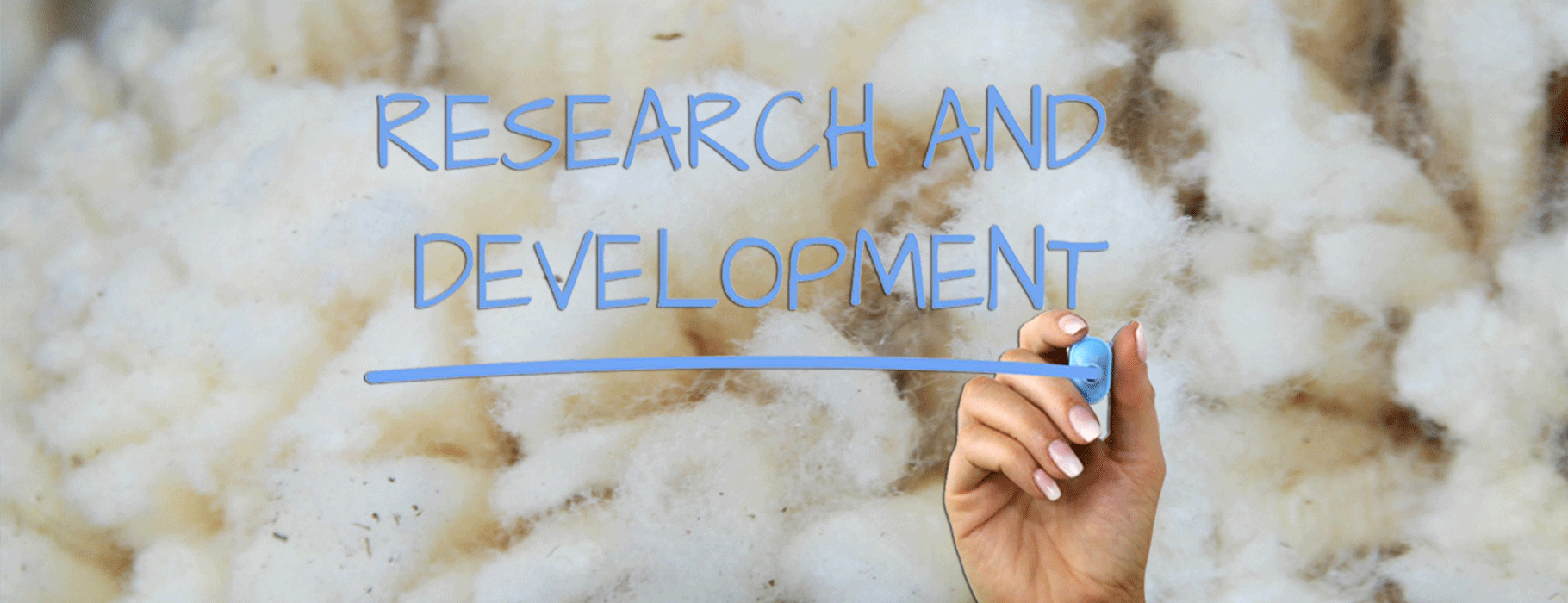 CCWG Livestock Supplies & Equestrian Centre CCWG Livestock Supplies